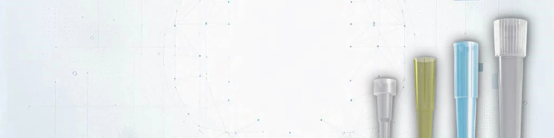 Banner Image 2